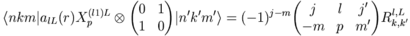 \langle nkm|a_{lL}(r)X_p^{(l1)L}\otimes\begin{pmatrix}0&1\\1&0\end{pmatrix}|n'k'm'\rangle=(-1)^{j-m}\begin{pmatrix}j&l&j'\\-m&p&m'\end{pmatrix}R_{k,k'}^{l,L}